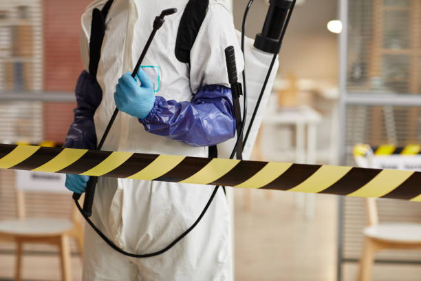 Professional Sewage Cleanup technician working in Elmira, NY